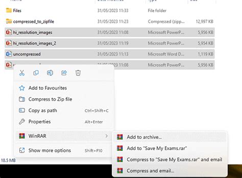 File Compression - Year 11 PDF Download