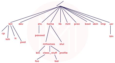 Unix Commands Interview Questions 的图像结果