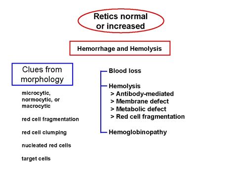 Image result for Retics Count by Flow Cytometry