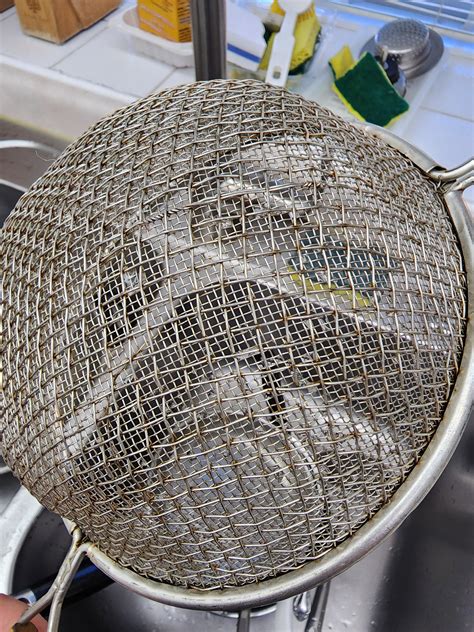 is it possible to clean the rust? : r/howto