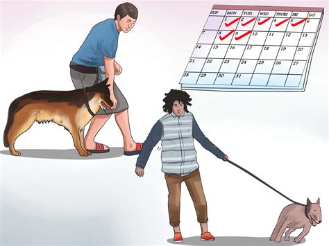 How To Train A Dog To Walk Stairs at Christopher Hurtado blog