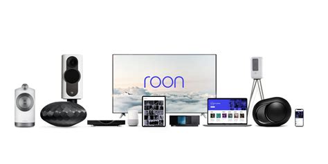 Image result for Roon Essentials