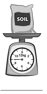 Image result for Module 2 Lesson 7 3rd Grade