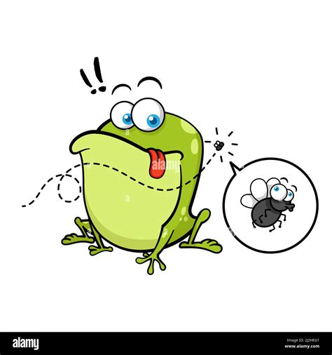 Image result for Hello There Frog Fly