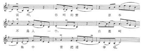 中国民族民间音乐赏析·器乐、说唱