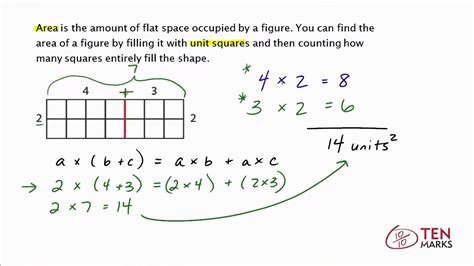 Image result for Area Model Distributive Property Worksheet