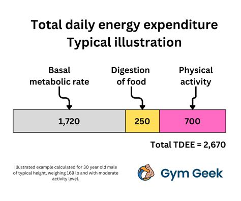 Maintenance Calories Calculator (TDEE) - Gym Geek