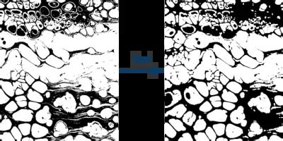 OpenCV Size 的图像结果