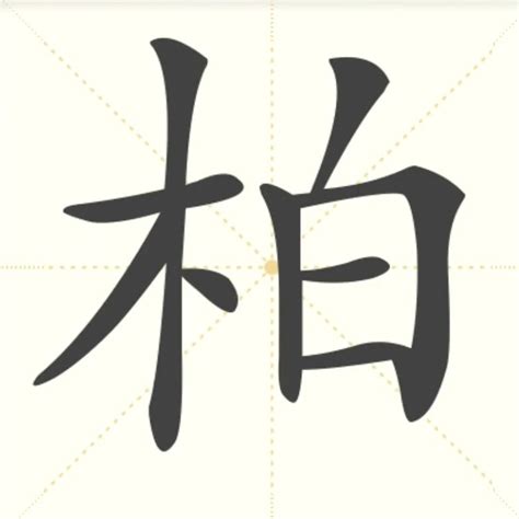 “柏” 的汉字解析 - 豆豆龙中文网