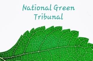 NGT FULL FORM IN HINDI | एनजीटी क्या है | NATIONAL GREEN TRIBUNAL ACT 2010