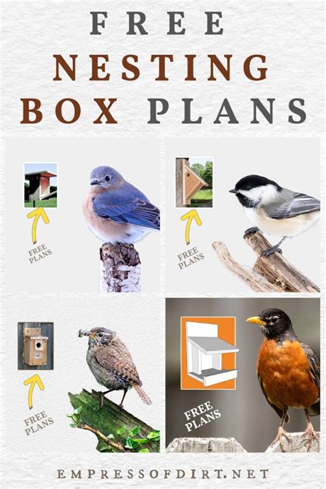 Image result for Bird Nesting Boxes Plans