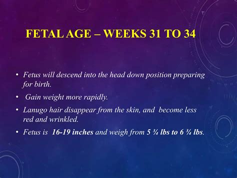 Image result for Third Week Development of Embryo