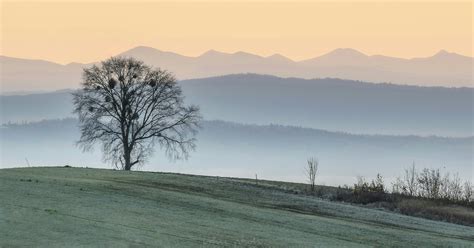 Modern Camera 的图像结果