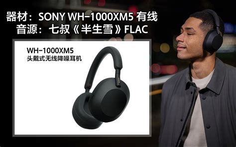 索尼 SONY AX250 5段均衡 功率放大器 – Lark Club