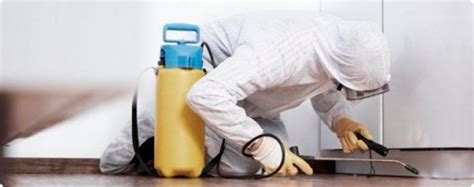 Dedetização | Bio Pragas