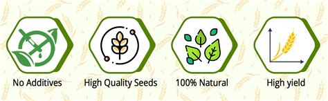 Green World Pusa Basmati 1886 variety paddy rice seeds for farming and ...