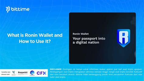 What is Ronin Wallet and How to Use It?