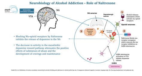 Drinking And Bupropion
