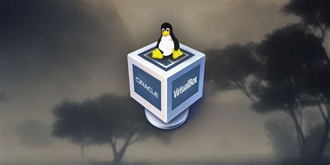 Additions VirtualBox 的图像结果