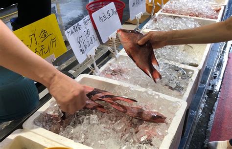 海鱼价格排名大全，春夏季9大优质海鱼品种排名来了_赤子创业