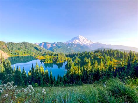 Image result for Nature Sample