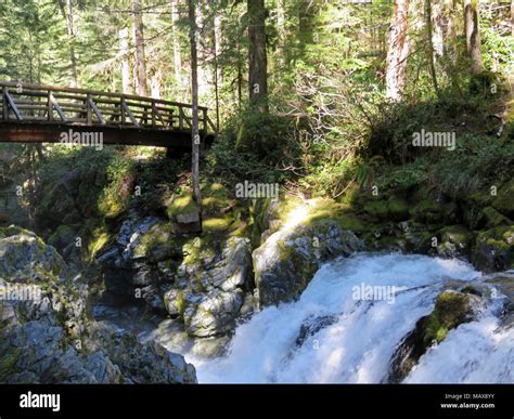 Opal Creek Wilderness in Oregon Stock Photo - Alamy