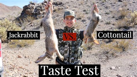 Hunting Catch Clean and Cook 的图像结果