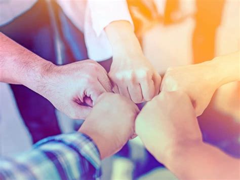 Performance Committee Organization Structure 的图像结果