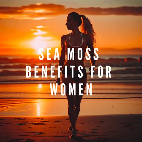 Sea Moss Superfood Benefits at Mary Sprent blog