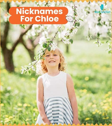 Nicknames For Chloe