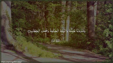 Prophet Dawud's Wisdom (Surah Sad 38:20) - The Gift of Decisive Speech ...