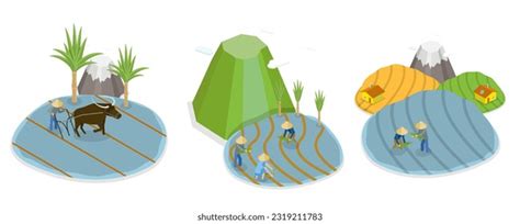 Java Rice Drawing 的图像结果