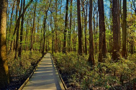 10 Great East Coast National Parks Everyone Must Visit