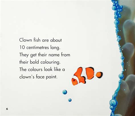 Sea Life Clown Fish – Books and You