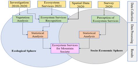 Ecosystem Services and Linkages of Naturally Managed Monotheca ...