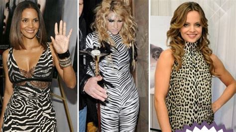 Stars Gone Wild -- Celebrity Safari!