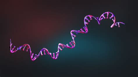 RNA Model 的图像结果