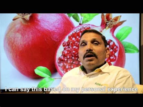 Cold Storage Systems - Walk In Cooler Manufacturer from Pune