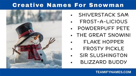 600+ Dirty Snowman Names to Spice Up Your Winter Fun – Teamify Names