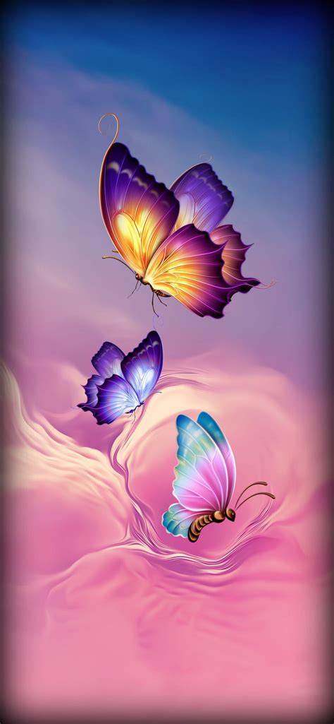 Cute Butterfly Wallpapers - Top Free Cute Butterfly Backgrounds - WallpaperAccess