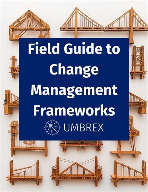 Image result for Change Management Framework