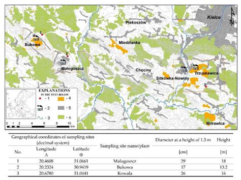 The Presence of Selected Elements in the Microscopic Image of Pine ...