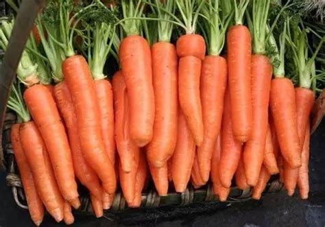 问答｜胡萝卜究竟是生吃还是熟吃好？怎么吃最吸收维生素A？|维生素A|胡萝卜素|问答_新浪新闻
