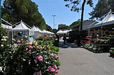 lignano in fiore fr 252 hlingsveranstaltungen in lignano ein vorgeschmack auf lignano in fiore fr 252 hlingsveranstaltungen in lignano ein vorgeschmack auf