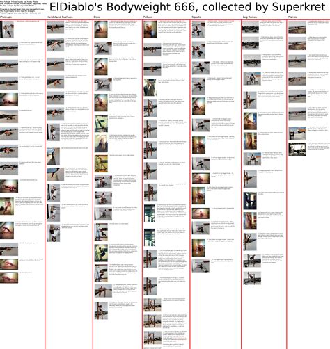Body Muscle Exercise Chart 的图像结果