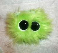 Image result for Baby Pygmy Puff