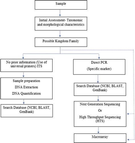 Image result for DNA Barcoding Methods