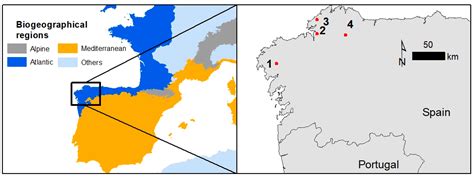 Basque DNA 的图像结果
