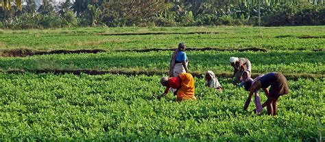 Image result for Farming Simulator 19 Mods.com