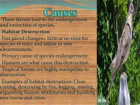 What factors affect the natural habitat of an endemic species - Brainly.in